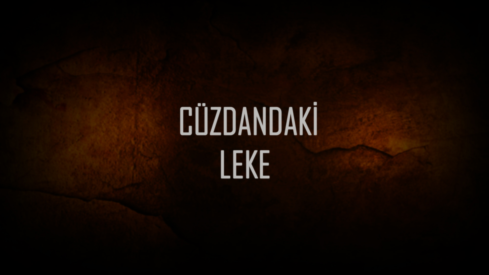 Cüzdandaki Leke afişi